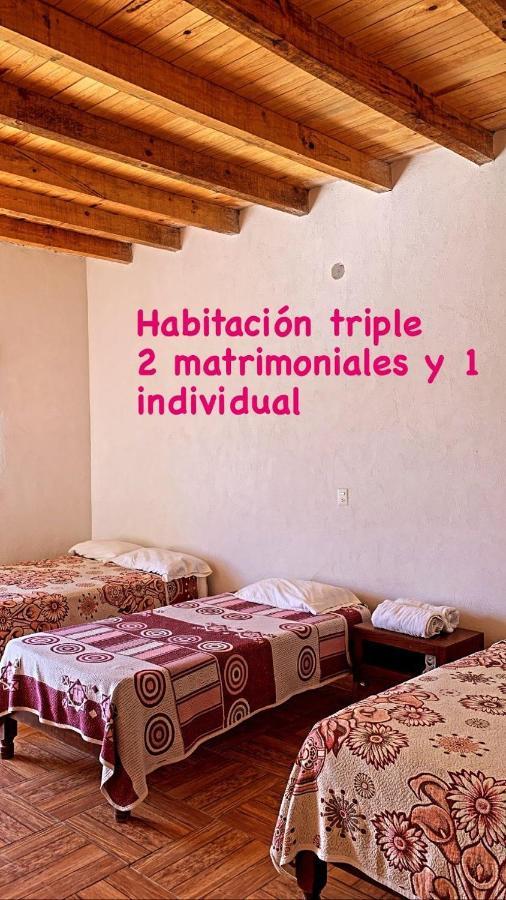 Catorce Capital A Una Hora De Real De Catorce Эстасьон-Каторсе Экстерьер фото