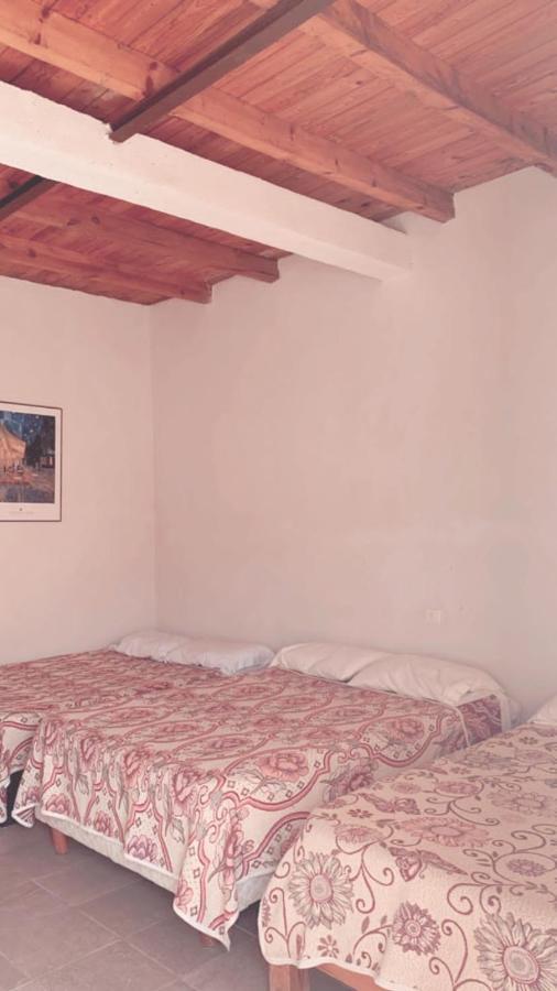 Catorce Capital A Una Hora De Real De Catorce Эстасьон-Каторсе Экстерьер фото